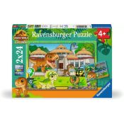 Ravensburger 12001057 Puzzle 24 pz Altro