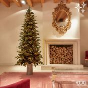EDG Enzo De Gasperi &ndash; Albero di Natale Pino Luxury New H210 cm con 3000 LED, Verde
