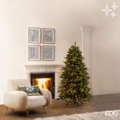 EDG Enzo De Gasperi &ndash; Albero di Natale Pino Cristallo H180 cm con 1500 MiniLED, Verde
