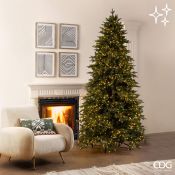 EDG Enzo De Gasperi &ndash; Albero di Natale Pino Cristallo H240 cm con 2500 MiniLED, Verde