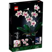 LEGO - CREATOR PIANTA-10311 - Multicolore