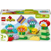 LEGO Giardino e fiori creativi