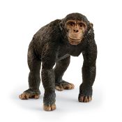 schleich WILD LIFE 14883 action figure giocattolo