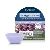 Yankee Candle 10.00664.0028 cera aromatica