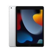 APPLE - iPad 10.2" Wifi 256GB - Argento