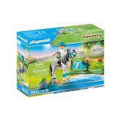 Playmobil 70522 set da gioco