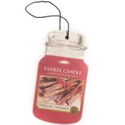 Yankee Candle Sparkling Cinnamon Deodorante in cartone da appendere